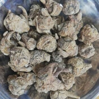 sabut maca