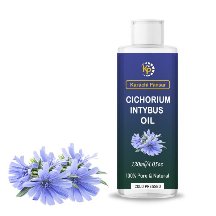 cichorium intybus oil